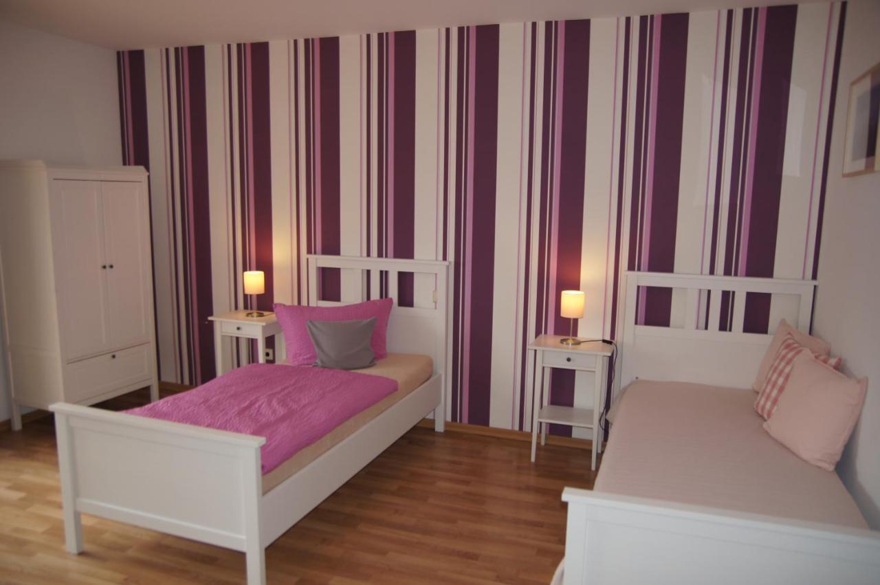 Gasthof Schumacher Hotel Garni Freudenberg  Exteriér fotografie