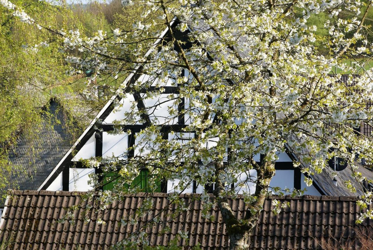 Gasthof Schumacher Hotel Garni Freudenberg  Exteriér fotografie